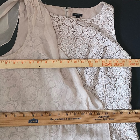 Ann Taylor Beige Knee Length Dress Lace With Partial Sheer Panel Women's Size 10 - Picture 8 of 14